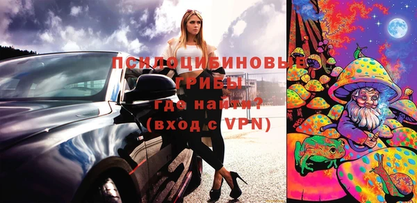 гашик Абаза