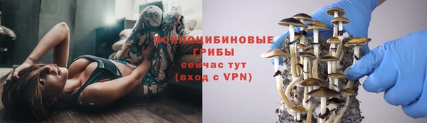 гашик Абаза
