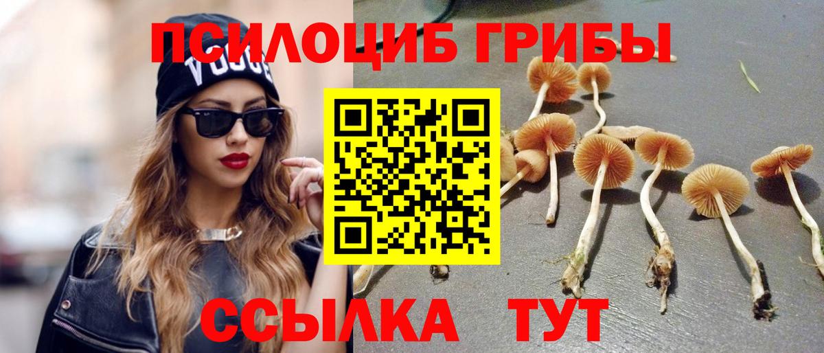 Североморск  Галлюциногенные грибы мухоморы  Вход с VPN 