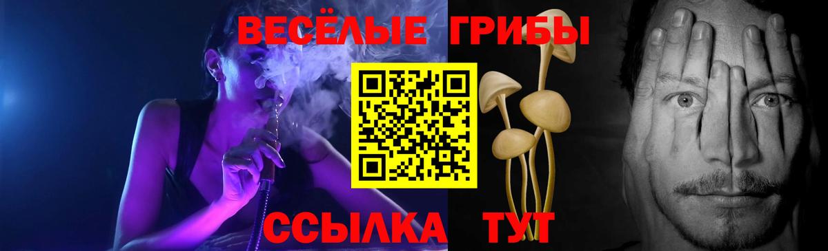 Псилоцибиновые грибы ЛСД Североморск